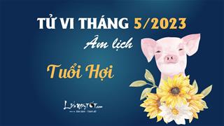 Tử vi tháng 5/2023 tuổi Hợi âm lịch: Sự nghiệp bế tắc, tình duyên ảm đạm