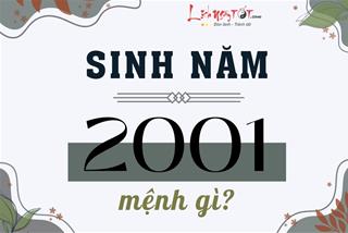 Sinh năm 2001 mệnh gì, tuổi con gì, hợp màu nào, ở nhà hướng nào thuận đủ đường?