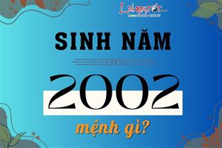 Sinh năm 2002 mệnh gì, tuổi gì, hợp màu nào, hợp tác làm ăn với tuổi nào dễ phát tài phát lộc?