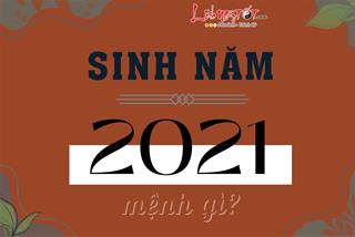 Sinh năm 2021 mệnh gì? Năm con gì, có được tính là năm con Trâu vàng hay không?