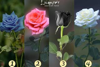 Trắc nghiệm tâm lý: Chọn 1 bông hoa để biết VẬN MAY nào đến với bạn trong tháng 4/2023 này!