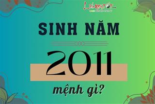Sinh năm 2011 mệnh gì, tuổi con gì, hợp tuổi nào, ở nhà hướng nào thì thịnh vượng?