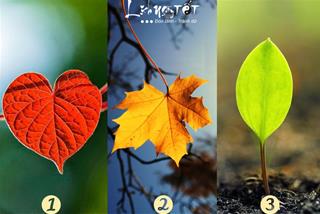 Trắc nghiệm tâm lý: Quý nhân trong đời bạn là ai, họ mang vận may nào đến?