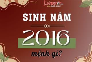 Sinh năm 2016 mệnh gì, năm con gì, hợp tuổi nào, nhà hướng nào?