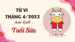 Tử vi tháng 6/2023 tuổi Sửu âm lịch: Đương đầu hàng loạt rắc rối và căng thẳng