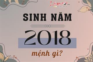 Sinh năm 2018 mệnh gì, năm con gì, hợp với tuổi nào, nhà hướng nào?