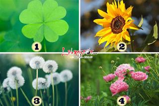 Trắc nghiệm tâm lý: BẤT NGỜ LỚN nào sẽ đến với bạn vào nửa cuối tháng 5/2023?