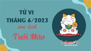 Tử vi tháng 6/2023 tuổi Mão âm lịch: Có khởi sắc nhưng vẫn cần đề phòng rủi ro rình rập