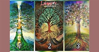 Trắc nghiệm tâm lý: Chọn 1 cây trí tuệ biết được vận MAY bạn được thừa hưởng từ tổ tiên