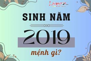 Sinh năm 2019 mệnh gì? Tuổi Kỷ Hợi hợp tuổi nào, màu sắc nào mang lại may mắn?