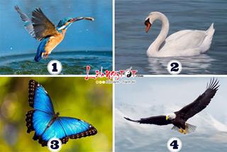 Trắc nghiệm tâm lý: Tháng 4/2023 âm lịch của bạn ĐỎ NHƯ SON hay XUI ĐỦ ĐƯỜNG?