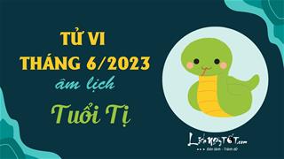 Tử vi tháng 6/2023 tuổi Tị âm lịch: Tinh thần đầy hào hứng, năng suất đáng nể