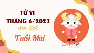 Tử vi tháng 6/2023 tuổi Mùi âm lịch: Nhiều chuyển biến tốt, tự tin phát triển mạnh mẽ