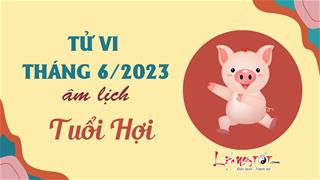 Tử vi tháng 6/2023 tuổi Hợi âm lịch: Nỗ lực được đền đáp, có nhiều bước tiến mới