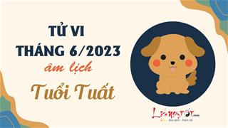 Tử vi tháng 6/2023 tuổi Tuất âm lịch: Vận trình ẩn tàng nhiều sóng gió