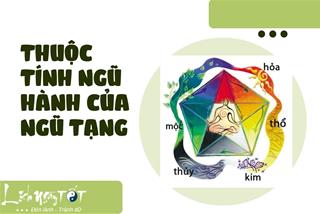 Hiểu về thuộc tính ngũ hành của ngũ tạng để phòng bệnh, tha hồ an vui