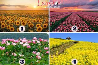 Trắc nghiệm tâm lý: “Biển hoa” rực rỡ tiết lộ THAY ĐỔI LỚN NHẤT của bạn trong tháng 6/2023