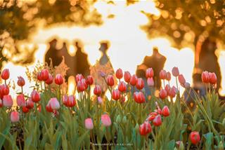 Tử vi thứ 2 ngày 8/5/2023 của 12 cung hoàng đạo: Sư Tử căng thẳng, Nhân Mã hào phóng