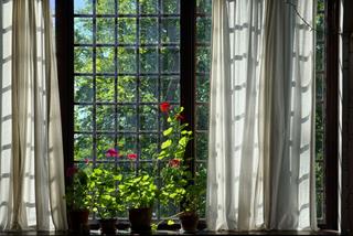 Tử vi thứ 6 ngày 12/5/2023 của 12 cung hoàng đạo: Hổ Cáp may mắn, Thiên Bình nhân ái