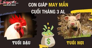 10 ngày tới, chim Ác đưa tin nói 3 tuổi này đón ĐIỀM lành từ trời, gia đạo thêm tin VUI, sự nghiệp bứt phá