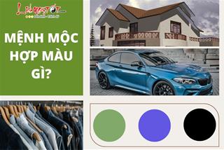 Mệnh Mộc hợp màu gì nhất, dùng màu sắc như thế nào để luôn gặp may mắn?