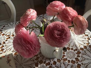 Tử vi thứ 2 ngày 5/6/2023 của 12 cung hoàng đạo: Ma Kết tự tin, Bảo Bình căng thẳng