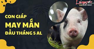 4 tuổi hiền lành được TỔ TIÊN che chở, đầu tháng 5 âm mở bát thuận lợi, cuộc ĐỜI sang trang mới!