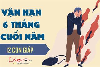 Cảnh báo vận hạn 12 con giáp nửa cuối năm 2023: Nguy cơ nào khiến bạn sẩy chân?