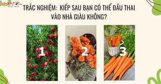 Trắc nghiệm tâm lý: Chọn 1 bức ảnh xem kiếp sau bạn có DUYÊN đầu thai vào nhà GIÀU không?