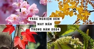 Trắc nghiệm tâm lý: Bạn sẽ gặp vận MAY nào trong năm 2024?