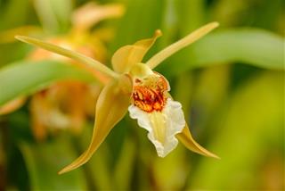 Tử thứ 4 ngày 12/7/2023 của 12 con giáp: Hợi khó tính, Dần thông minh