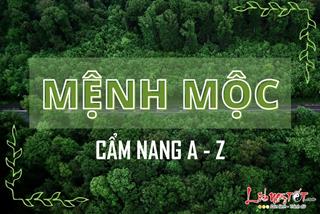 Mệnh Mộc là gì? Cẩm nang phong thủy chiêu tài hút lộc cho người mệnh Mộc