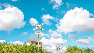 Tử vi thứ 4 ngày 12/7/2023 của 12 cung hoàng đạo: Sư Tử ăn chơi, Bảo Bình tự hào