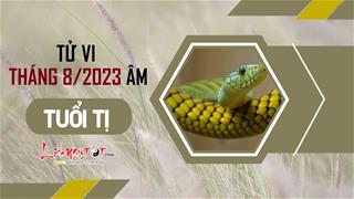 Tử vi tháng 8/2023 tuổi Tị âm lịch: Hung cát đan xen, chớ nên buồn phiền