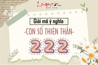Con số 222 có ý nghĩa gì? Bí ẩn nào nằm sau con số thiên thần 222 mà vũ trụ muốn gửi gắm tới bạn?