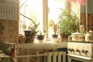 Tử vi thứ 7 ngày 29/7/2023 của 12 con giáp: Tý thông minh, Dậu dễ mất tiền