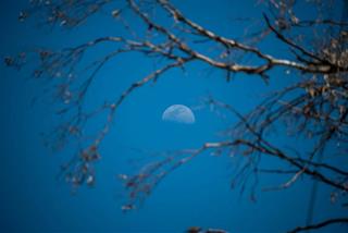 Tử vi tuần mới của 12 con giáp từ 7 - 13/8/2023: Hợi an ổn, Sửu năng nổ