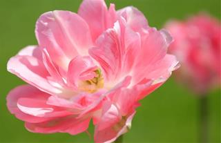 Tử vi thứ 5 ngày 3/8/2023 của 12 cung hoàng đạo: Sư Tử đồng cảm, Thiên Bình vui vẻ