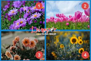 Trắc nghiệm tâm lý: Loài hoa yêu thích tiết lộ bạn có khả năng thành đại gia nhờ KINH DOANH hay không?