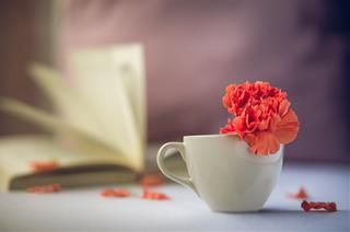 Vận dụng ngay ''5 bận rộn, 1 nhàn rỗi'' để SỐNG CÂN BẰNG, tận hưởng hạnh phúc