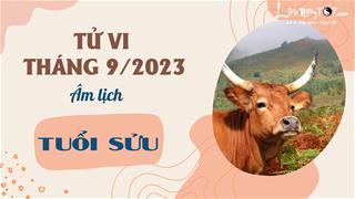 Tử vi tháng 9/2023 tuổi Sửu âm lịch: Sức khỏe có vấn đề, tiền bạc chớ cho vay