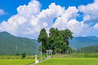 Tử vi thứ 4 ngày 23/8/2023 của 12 cung hoàng đạo: Xử Nữ khô khan, Nhân Mã mạnh mẽ