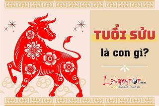 TUỔI SỬU là con gì? Sinh năm nào, mệnh gì? Người tuổi Sửu hợp – khắc tuổi nào?