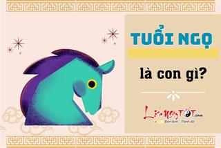 Tuổi NGỌ là con gì? Hợp khắc tuổi nào? Tất tần tật thông tin về con giáp mang BIỂU TƯỢNG THÀNH CÔNG