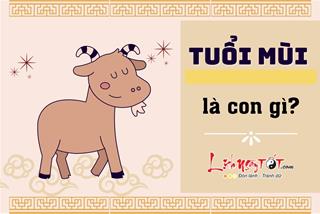 Tuổi Mùi là con gì? Sinh năm nào, mệnh gì? Người tuổi Mùi nên kết hôn làm ăn với tuổi nào?