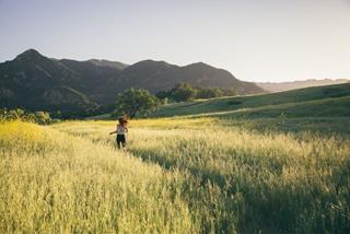 Tử vi Chủ Nhật ngày 3/9/2023 của 12 cung hoàng đạo: Sư Tử vui vẻ, Nhân Mã bồn chồn