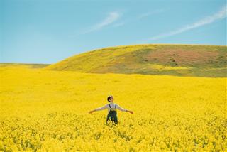 Tử vi 5 ngày 10/8/2023 của 12 cung hoàng đạo: Bạch Dương tự do, Song Tử nhanh chán