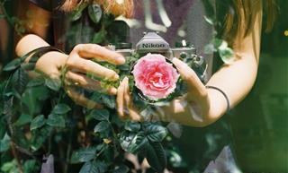 Tử vi thứ 7 ngày 12/8/2023 của 12 cung hoàng đạo: Sư Tử hạnh phúc