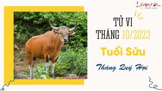 Tử vi tháng 10/2023 tuổi Sửu âm lịch: Có thăng có trầm, tình hình vẫn còn biến động