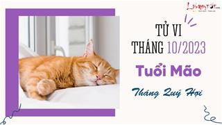 Tử vi tháng 10/2023 tuổi Mão âm lịch: Vận khí ở xu thế đi lên, nhiều thay đổi tích cực